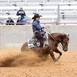 Meet your Posher, Brenna